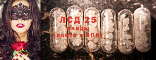 ГАЛЛЮЦИНОГЕННЫЕ ГРИБЫ Алексин