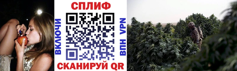 Шишки марихуана MAZAR  kraken зеркало  Лодейное Поле 